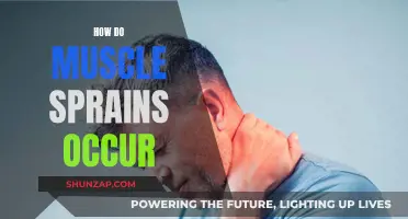 Understanding Muscle Sprains: Causes and Prevention