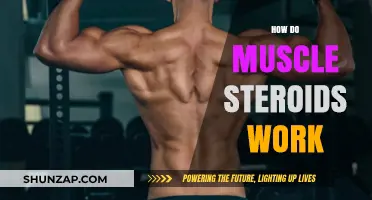 Unveiling the Science: How Muscle Steroids Work and Impact the Body