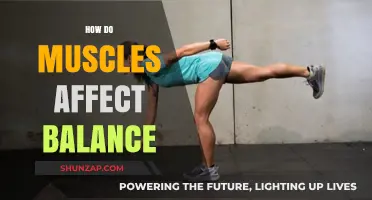 Muscle Strength and Balance: Understanding the Connection