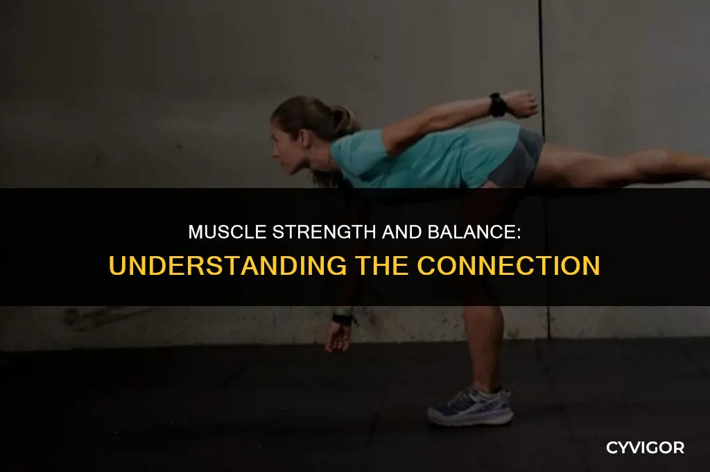 how do muscles affect balance