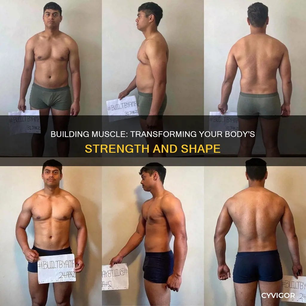 how do muscles change