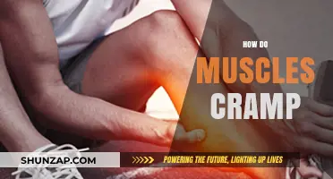 Unraveling the Mystery: Why Muscles Cramp and How to Prevent It