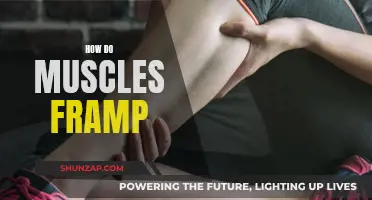 Muscle Cramps: Understanding the Uncontrollable Framp and How to Prevent It