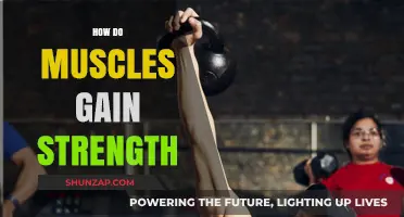 Unlocking Muscle Strength: Science-Backed Methods for Powerful Gains