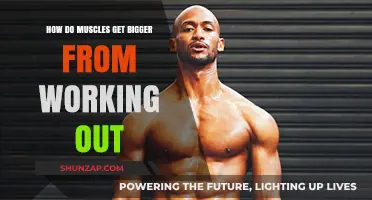 Unleash Muscle Growth: The Science Behind Bigger Muscles from Workouts