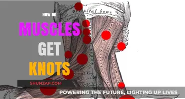 Unraveling the Mystery: How Muscles Get Knots and How to Fix Them