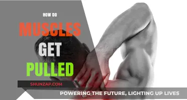 Understanding Pulled Muscles: Causes, Prevention, and Recovery Tips