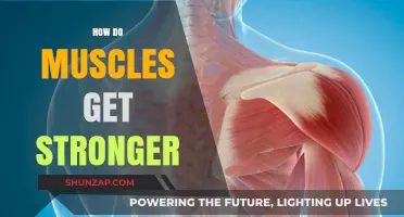 Unleashing Strength: The Science Behind Muscle Growth and Power