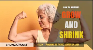 Muscle Growth and Atrophy: Understanding the Science Behind Size Changes