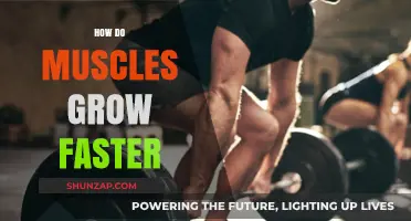 Accelerate Muscle Growth: Proven Strategies for Faster, Stronger Results