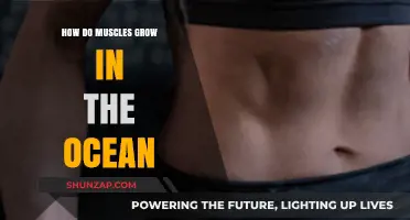 Ocean Muscle Growth: Unveiling the Secrets of Marine Strength Development