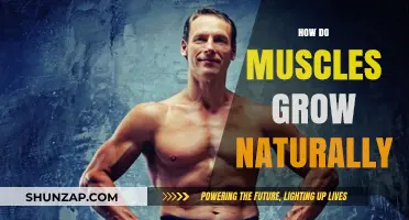 Natural Muscle Growth: Unlocking Strength Through Training and Recovery