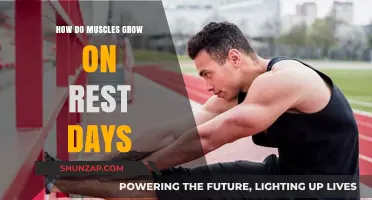 Muscle Growth on Rest Days: Unlocking the Science of Recovery