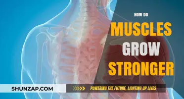 Unlocking Muscle Growth: Science Behind Strength and Hypertrophy Explained