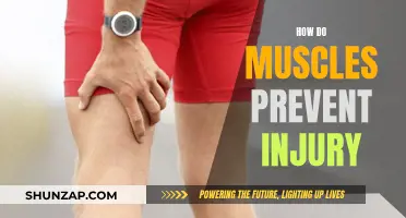 Muscle Injury Prevention: Understanding the Power of Muscles