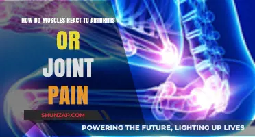 Muscle Response to Arthritis and Joint Pain: Understanding the Connection