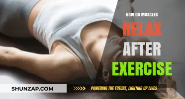 Unwinding Muscles: Understanding Post-Workout Relaxation and Recovery Techniques
