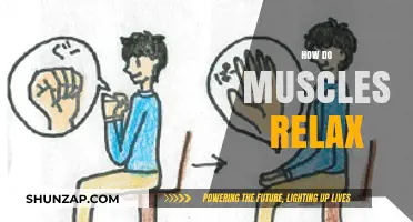 Understanding Muscle Relaxation: Techniques for Tension Relief and Recovery