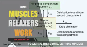 Understanding Muscle Relaxers: How They Work to Ease Tension and Pain