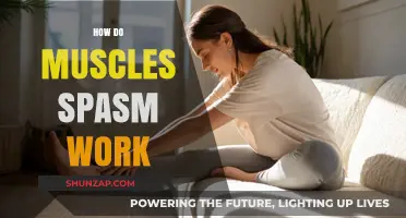 Understanding Muscle Spasms: Causes, Mechanisms, and Effective Relief Strategies