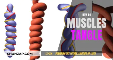 Understanding Muscle Tangling: Unraveling the Complex Biology