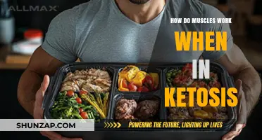 Muscle Function in Ketosis: How Ketones Fuel Your Workouts