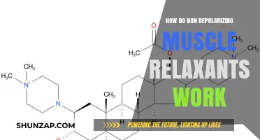 Unveiling Non-Depolarizing Muscle Relaxants: Mechanism and Clinical Applications