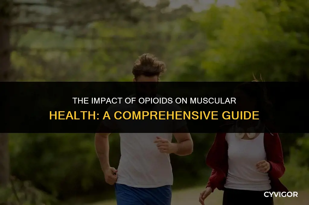 how do opioids affect your muscles