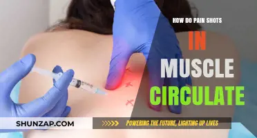 Understanding Muscle Pain Shots: Circulation, Mechanism, and Relief Explained