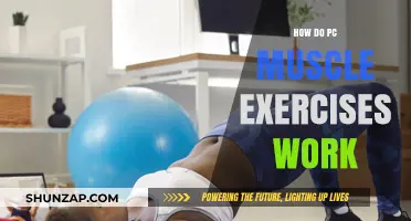How PC Muscle Exercises Work: Strengthening Pelvic Floor for Better Health