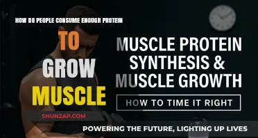 Maximize Muscle Growth: Smart Strategies for Optimal Protein Intake