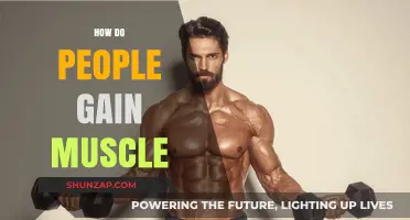 Effective Strategies for Building Muscle: Nutrition, Training, and Recovery Tips