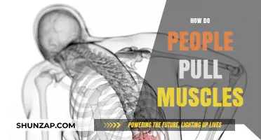 Understanding Muscle Strains: Causes, Prevention, and Recovery Tips