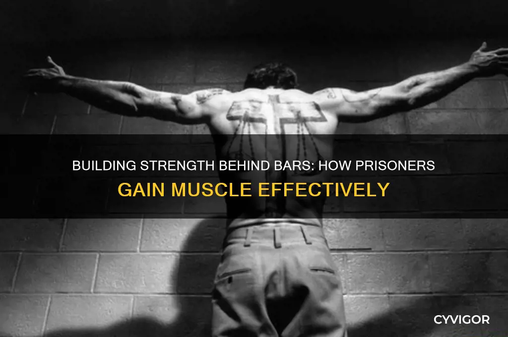 how do prisoners gain muscle