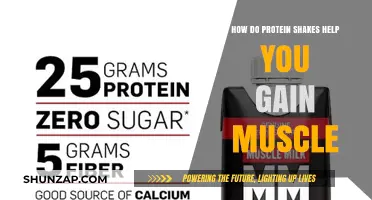 Protein Shakes: The Ultimate Muscle-Building Fuel for Fitness Enthusiasts