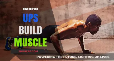 Unlocking Strength: The Science Behind Push-Ups and Muscle Growth