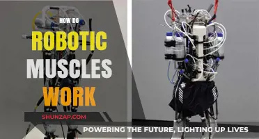 Understanding Robotic Muscles: Mechanics, Materials, and Real-World Applications