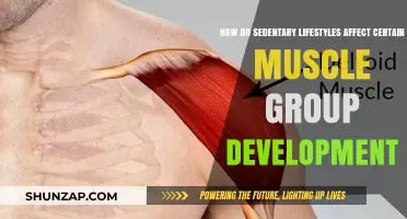Sedentary Lifestyles: Impact on Muscle Group Development Explained