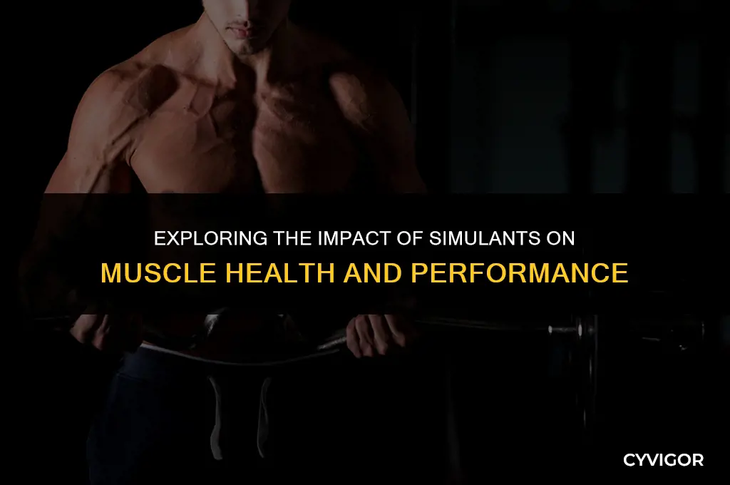 how do simulant affect your muscles