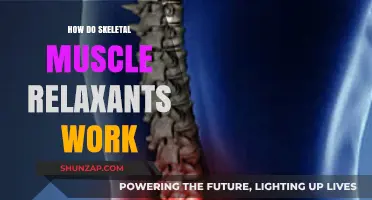 Understanding Skeletal Muscle Relaxants: Mechanism, Action, and Therapeutic Effects