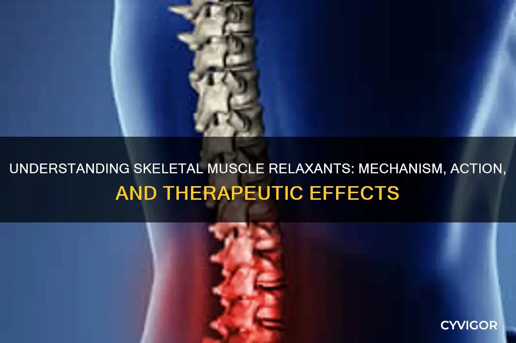 how do skeletal muscle relaxants work