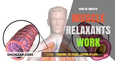 Understanding Smooth Muscle Relaxants: Mechanism and Therapeutic Applications