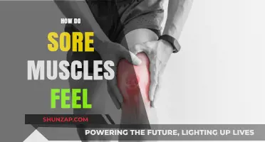 Understanding Sore Muscles: Sensations, Causes, and Recovery Explained