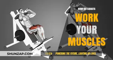 Squats: Unlocking Full-Body Muscle Engagement and Strength Benefits