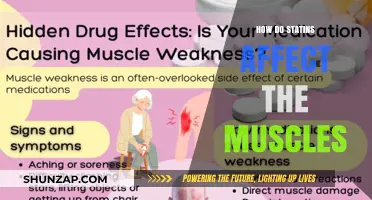 Unveiling the Impact of Statins on Muscle Health: A Comprehensive Guide