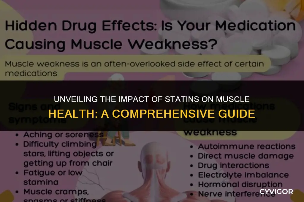 how do statins affect the muscles