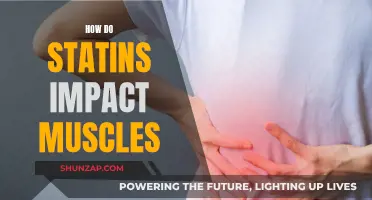 Statins' Muscle Impact: What You Need to Know