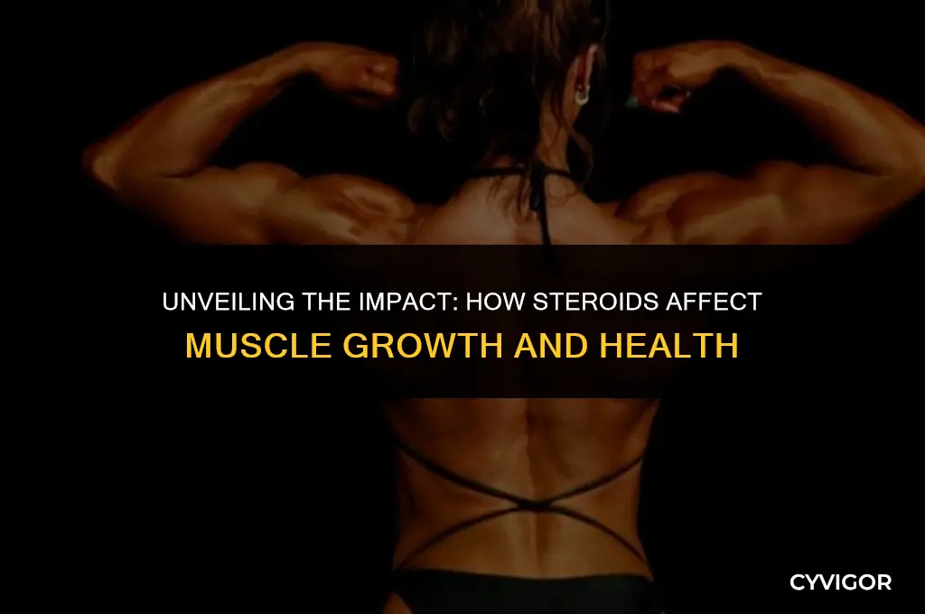 how do steroids affect muscles