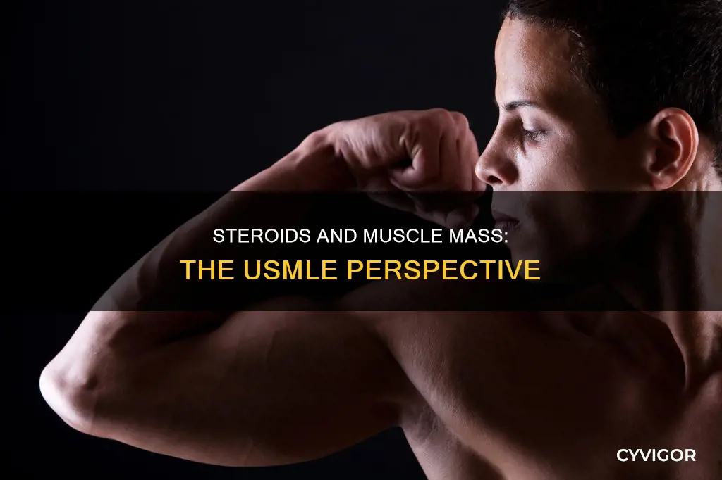 how do steroids cause increased muscle mass usmle