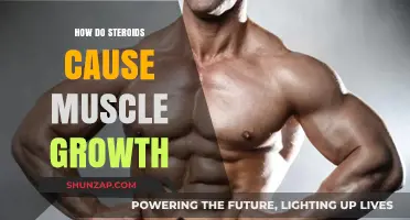 Steroids: Unlocking the Muscle Growth Mystery